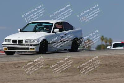 media/Oct-04-2025-OnGrid (Sat) [[44bd565ffa]]/Green Group/Grapevine/